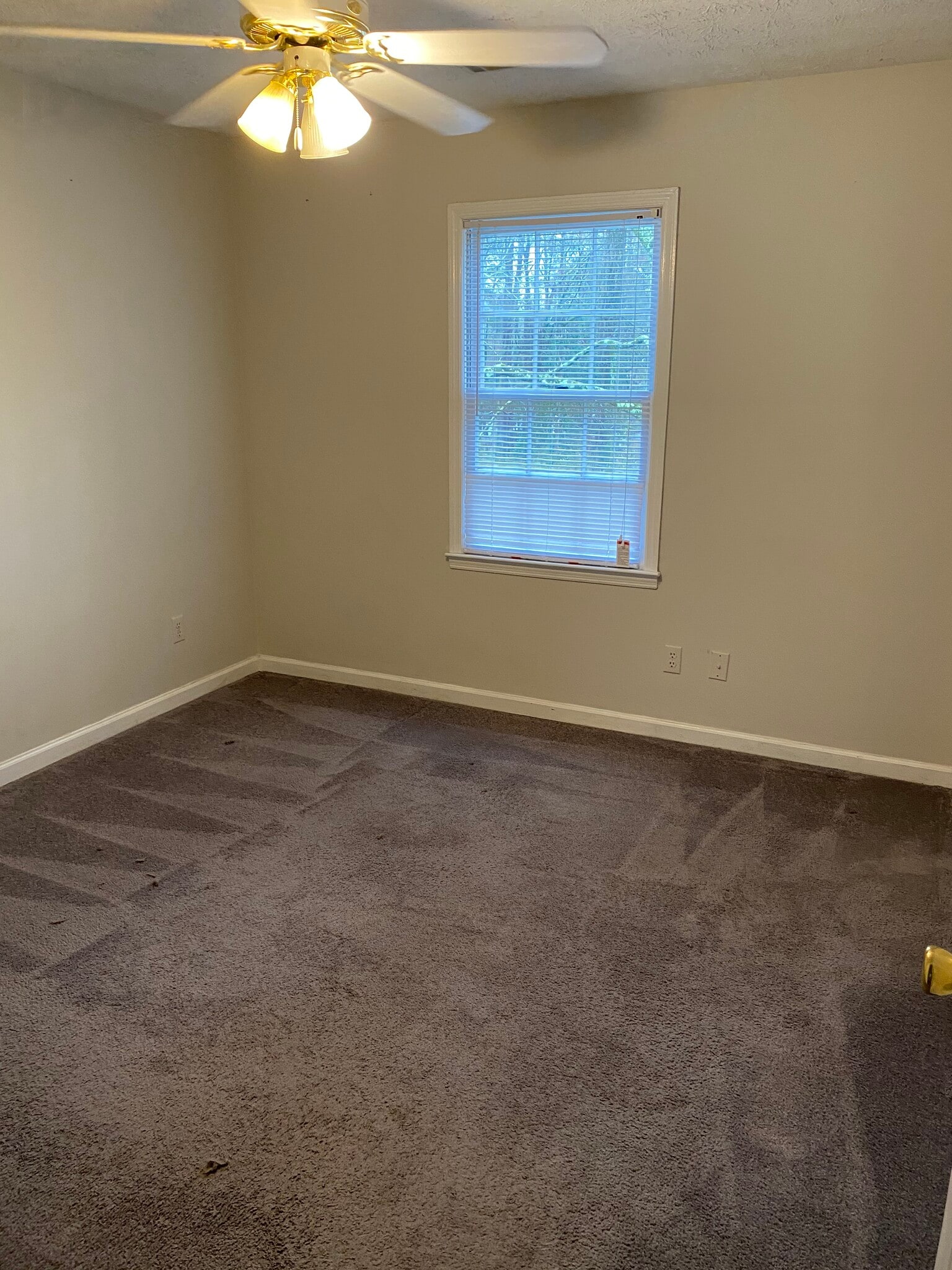 Bedroom 2 - 1925 Mayfield Rd