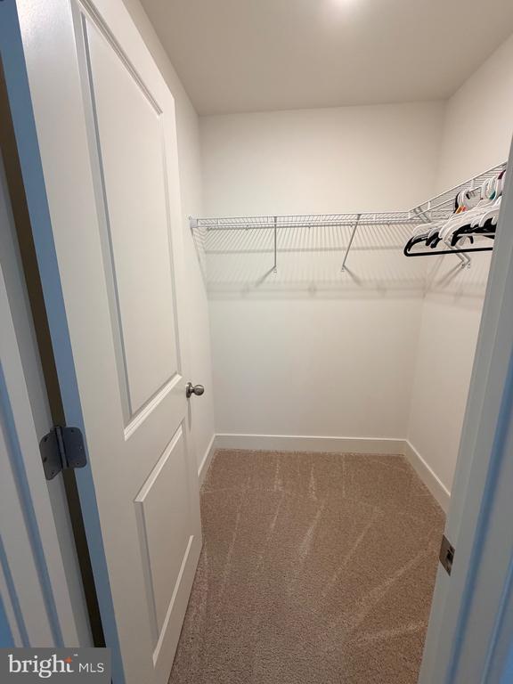 Building Photo - 1530 Sandpiper Bay Lp