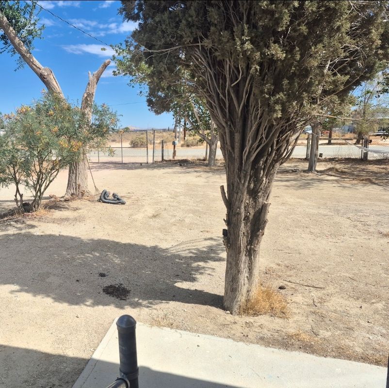 Building Photo - 9129 Kemper Rd