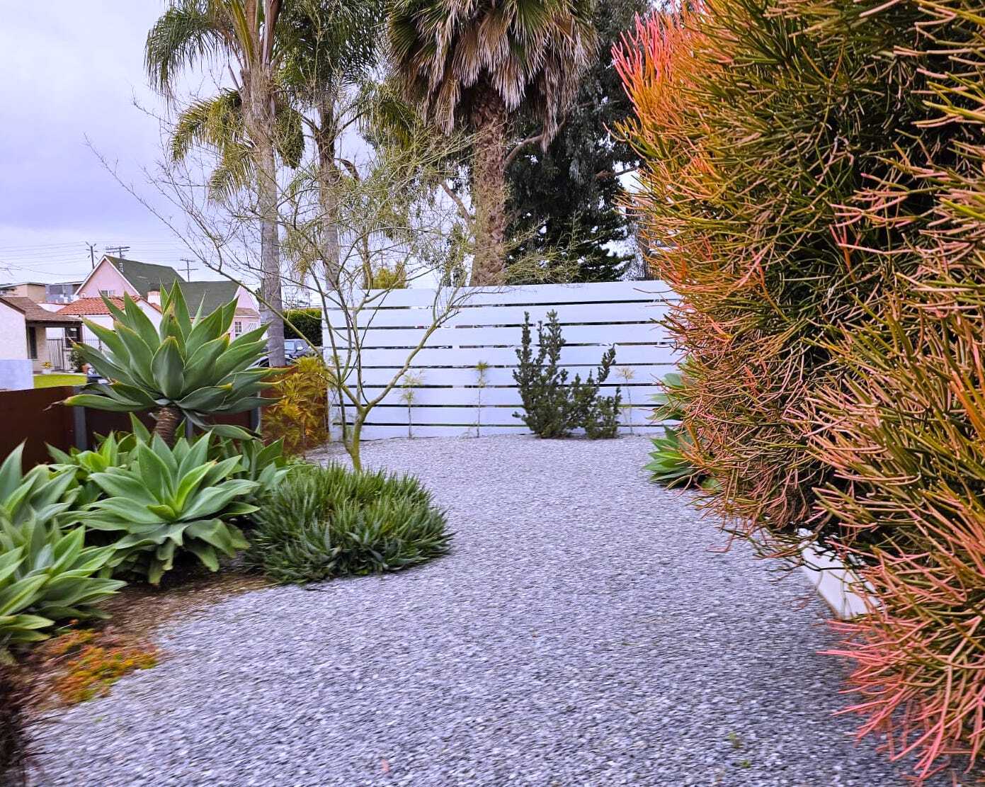 front yard at street - 939 Indiana Ave