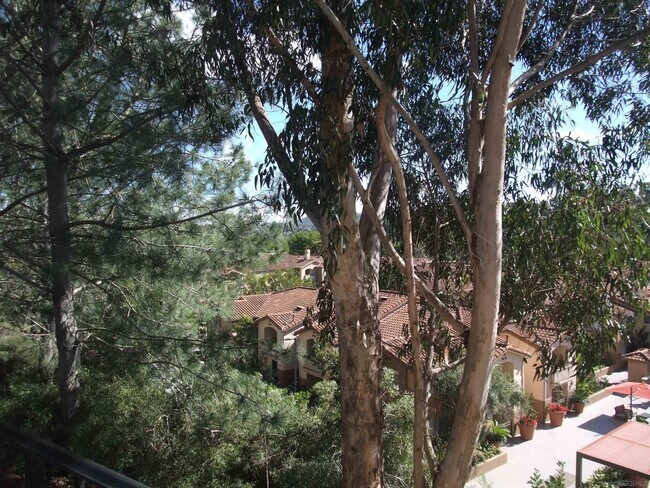 Building Photo - 8614 Villa La Jolla Dr