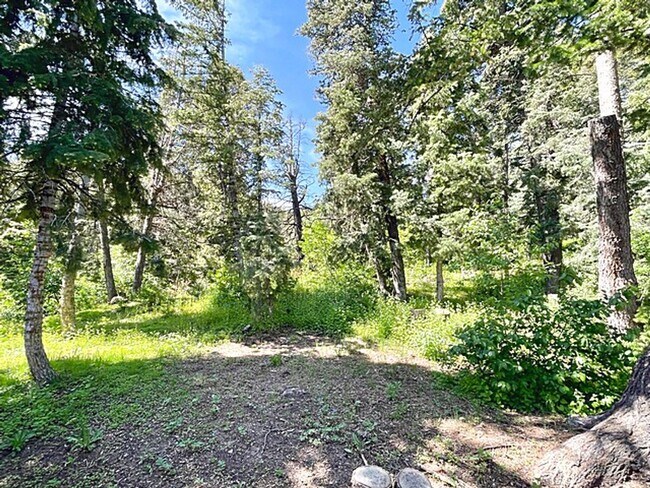 Building Photo - Mountain Retreat Home in Summit Park