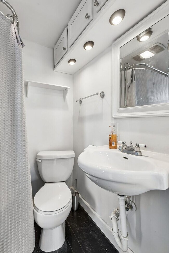 Building Photo - Next to Dog Bar!