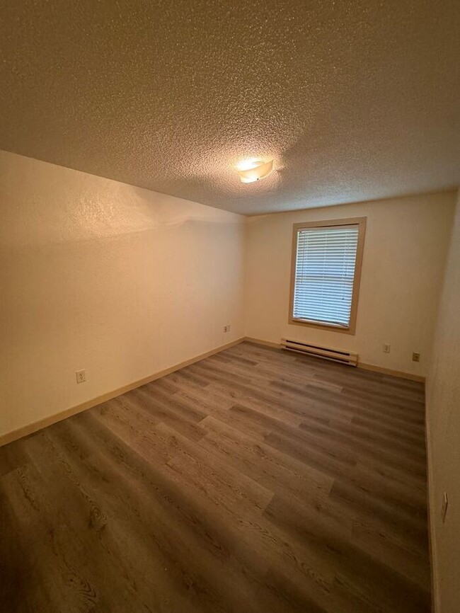 Building Photo - Spacious Newly Remolded 3 bedroom, 1 bath ...