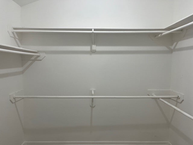 Building Photo - 2019 Tower Bell Ln