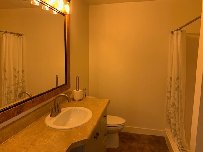 Building Photo - Brand New 2 Bedroom 1 Bath