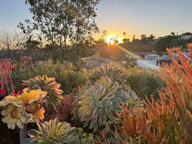 Building Photo - Beautifully Updated 3 Bed, 2 Bath Home in West Vista