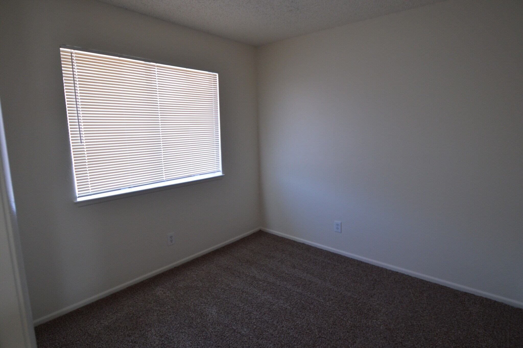 Building Photo - 1553 Teardrop St