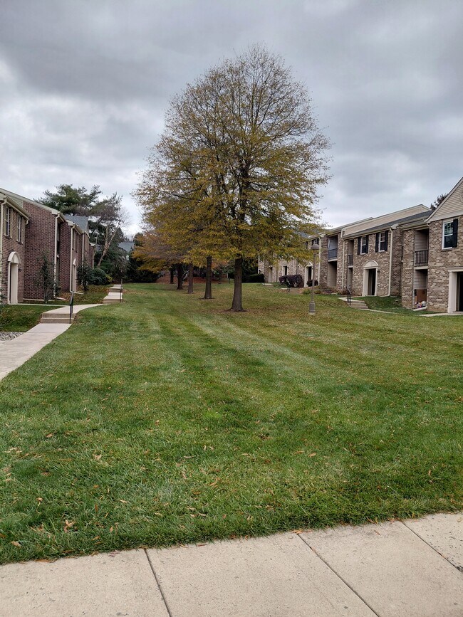 Building Photo - 93 Ramsgate Ct