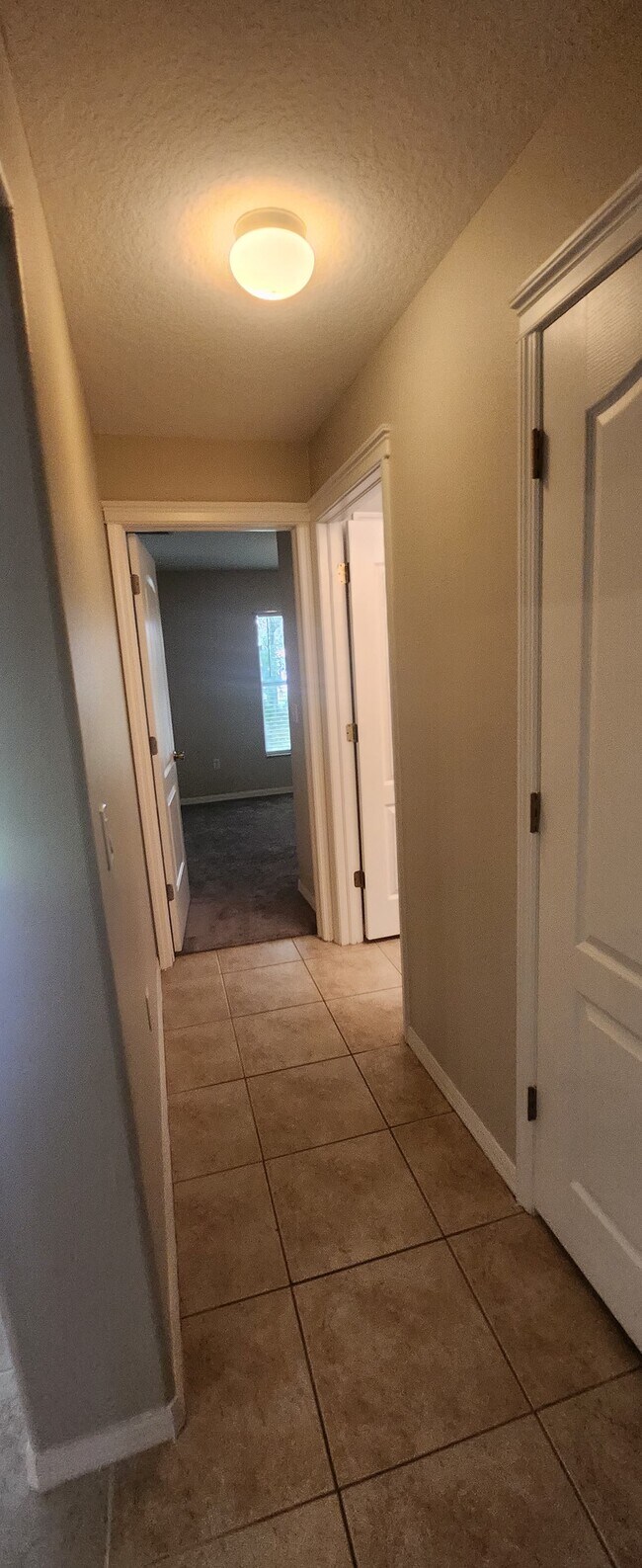 Building Photo - 6739 Bluff Meadow Ct