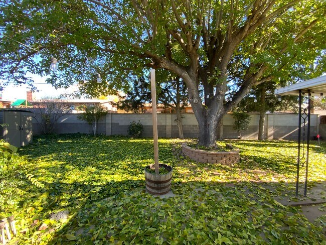 Building Photo - 3 Bedroom Single Story Home Available Near Louisiana Blvd NE & Candelaria Rd NE!