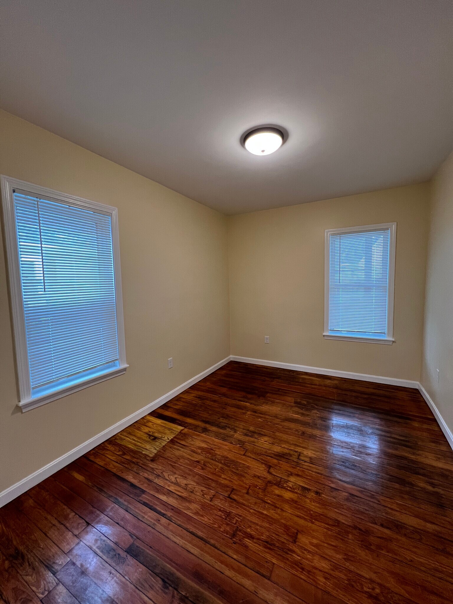 Building Photo - 227 Holland St