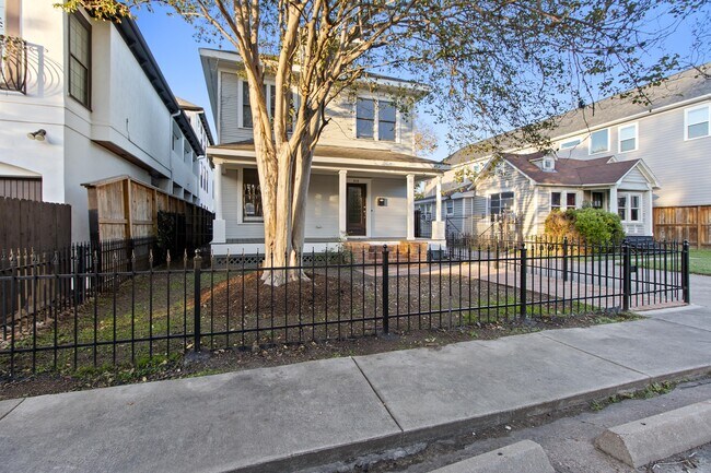 Front yard with rod iron fence, pedestrian gate and huge crape myrtle tree in center - 515 W 17th St