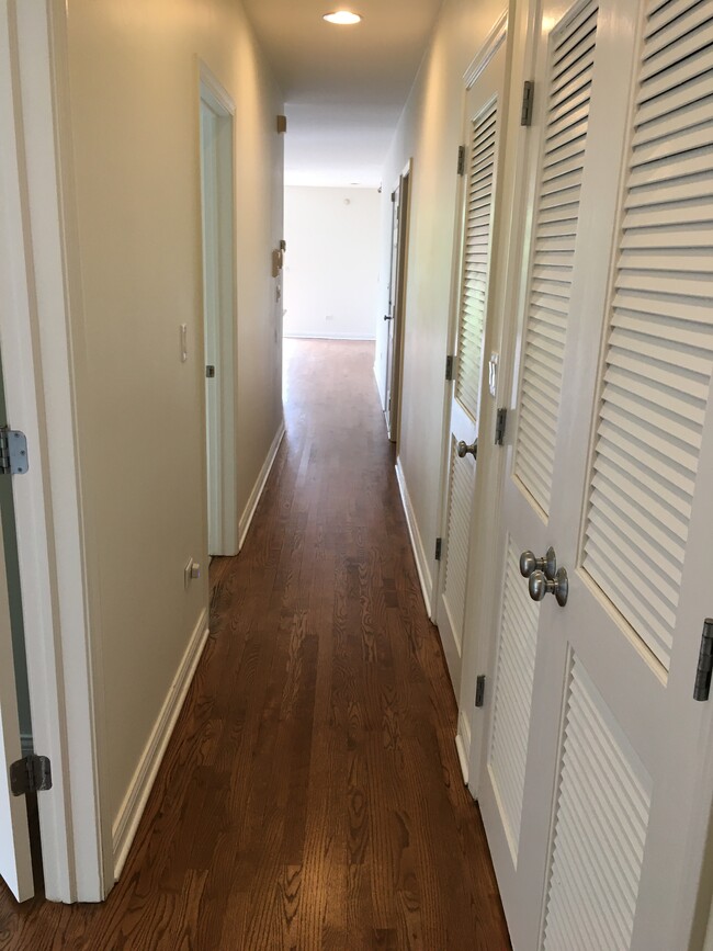 Hallway to living room - 6123 S Kimbark Ave