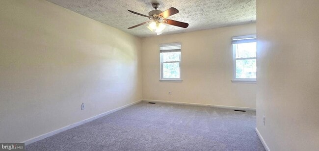 Building Photo - 1217 Scattered Pines Ct