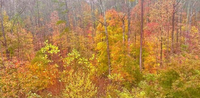 Building Photo - 12872 Waterside Dr