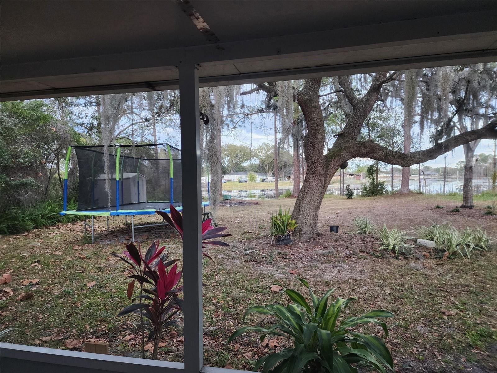 Building Photo - 2033 Quintilis Ct