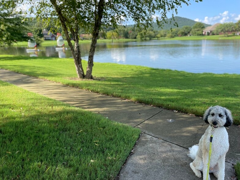 Peaceful and relaxing walking trails across the street - 3141 Mallard Point Dr SE