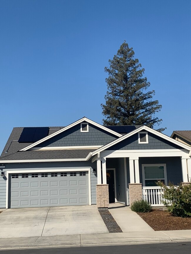 Building Photo - 1353 Molly Ave