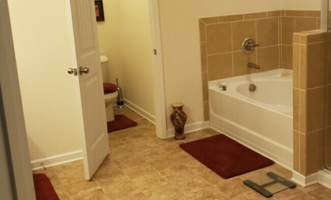 Master Bathroom - 263 COOLWATER LN