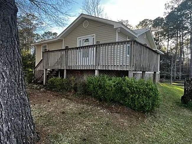 Building Photo - Cute cottage on piling across the road fro...