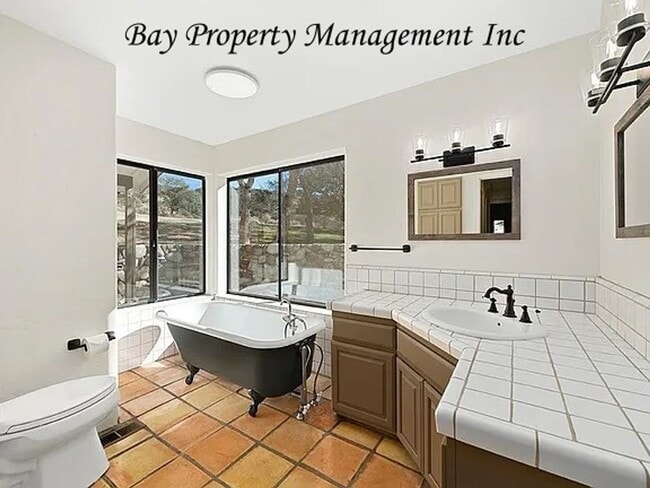 Building Photo - Breathtaking Views from this horse propert...