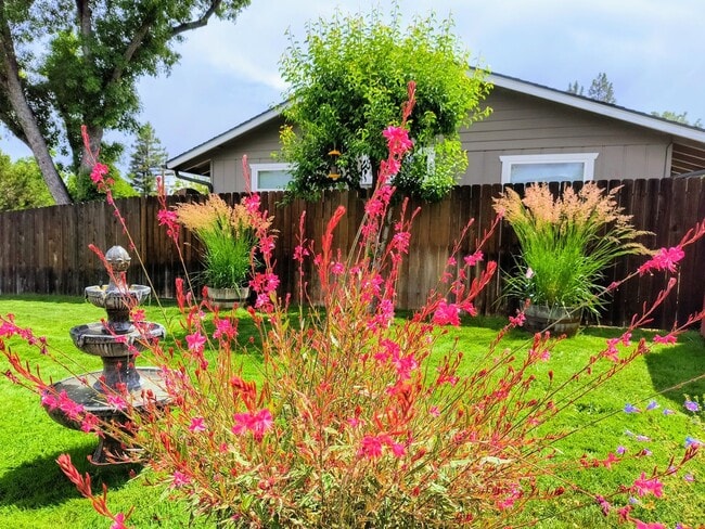 Building Photo - Unfurnished Light-Filled, Beautifully Updated 3-Bedroom Home in Jacksonville