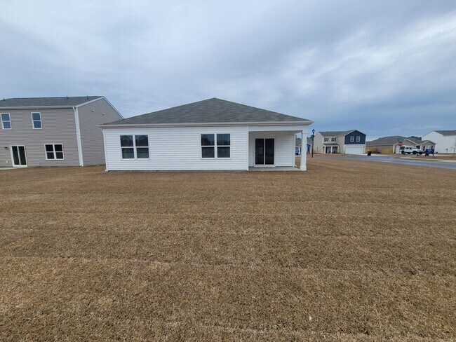 Building Photo - Welcome to our brand new 4-bedroom, 2-bathroom home located in the charming community of Castle H...