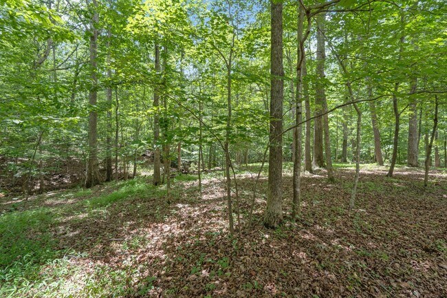 Building Photo - Lake Monticello Rental 3Bed/3Bath House