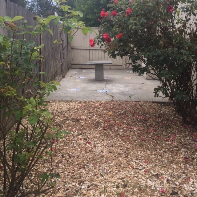 Building Photo - 3 Bedrooms, 2 Bathrooms- Plus 1bd 1ba Stud...