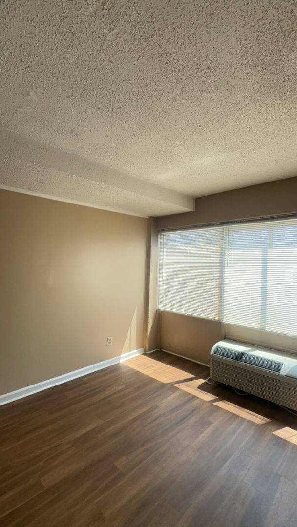 Building Photo - Newly Renovated Studio available NOW