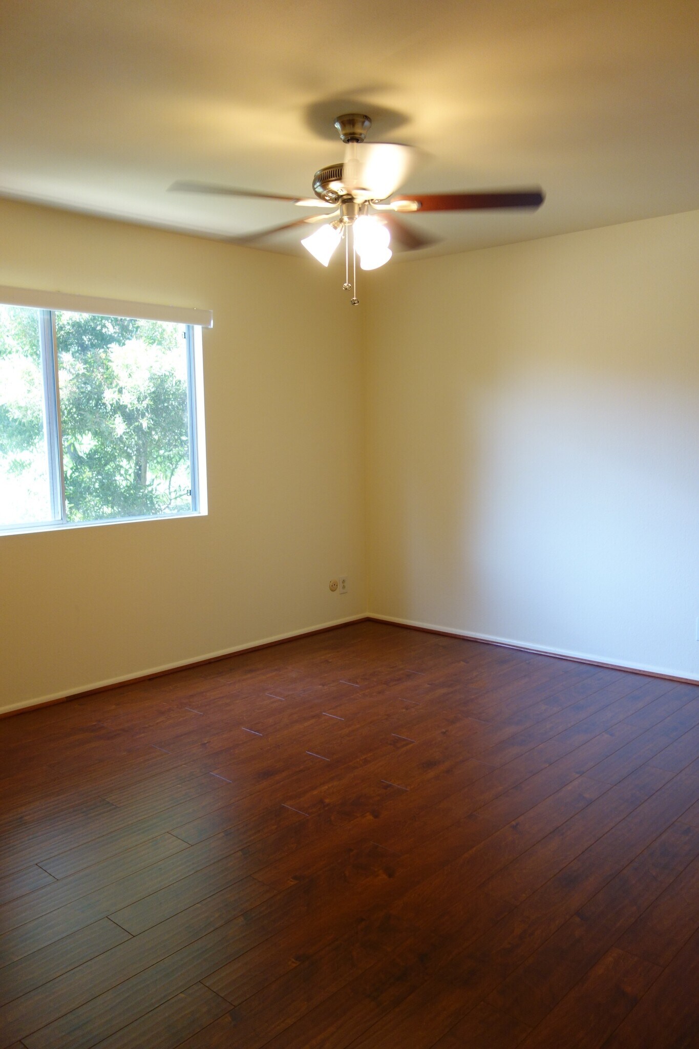 Bedroom 1 - 1809 Cambridge Ave