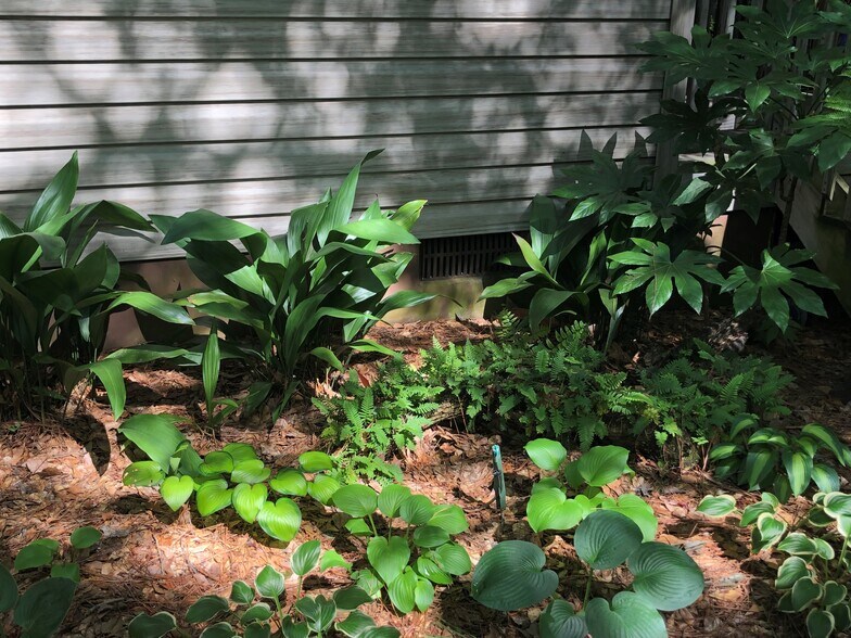 Building Photo - 3606 Walkers Ferry Ln