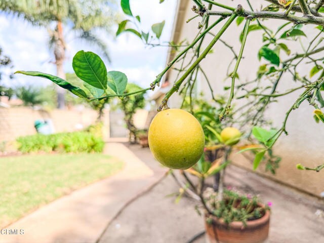 Building Photo - 2300 Bayhill Ct