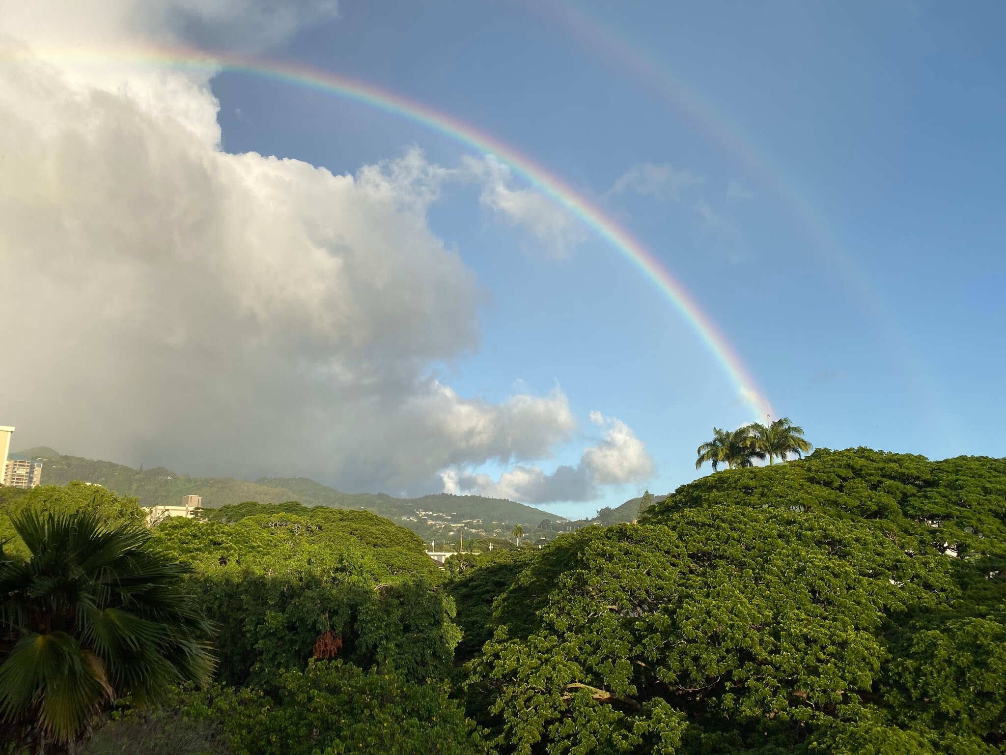 Building Photo - 1720 Huna St