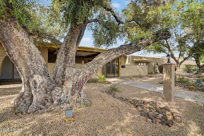 Building Photo - 3736 E Montecito Ave