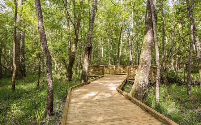 Building Photo - Brand-New Town Home in Shearwater with Resort-Style Amenities