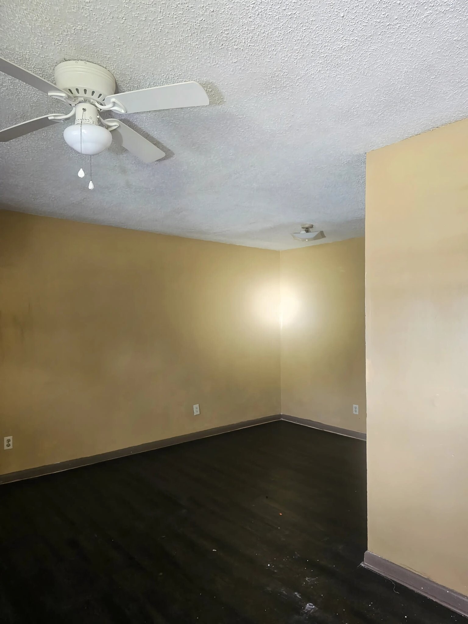 Building Photo - 1704 S Catalpa St