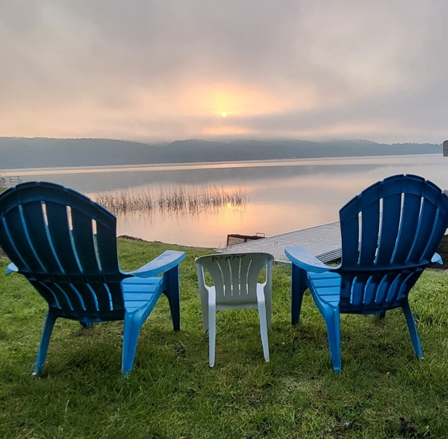 Building Photo - 293 Sumac Ln