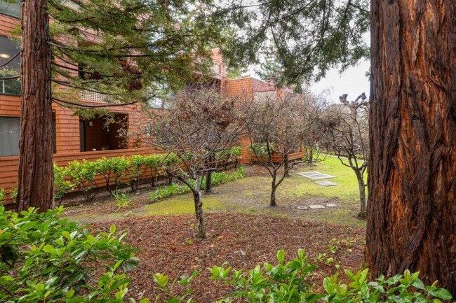 Building Photo - 4250 El Camino Real