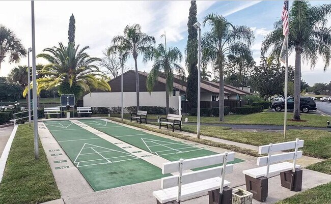 Building Photo - Remodeled 2BD/2BTH Condo Palm Harbor Condo...