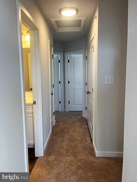 Building Photo - 140 Olga Dr