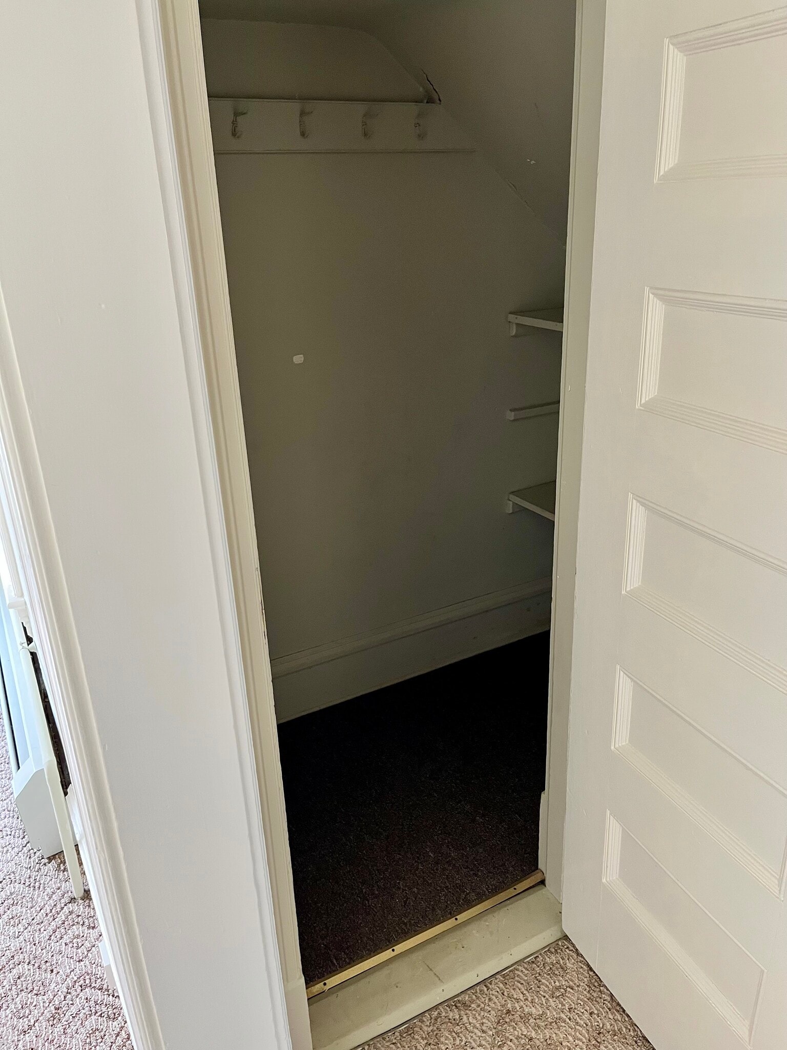 Closet #1 - 114 Buell St