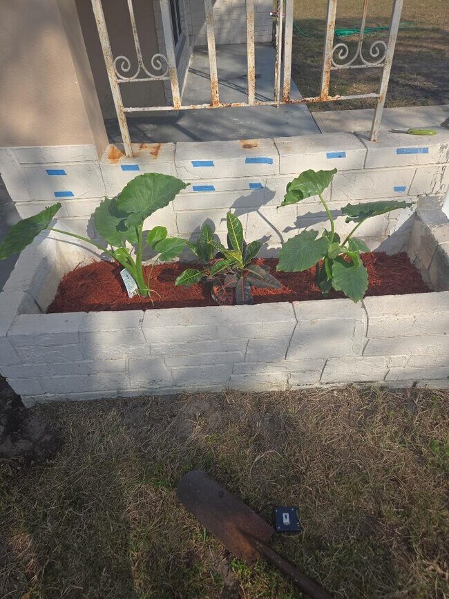 Building Photo - 7531 Polk St