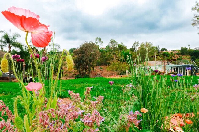 Building Photo - 30185 Vía Maria Elena