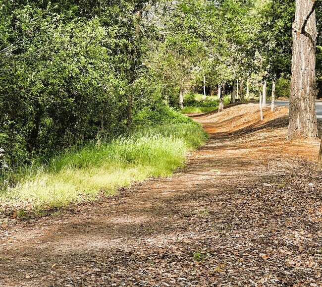 Building Photo - 2314 Sierra Creek Cir