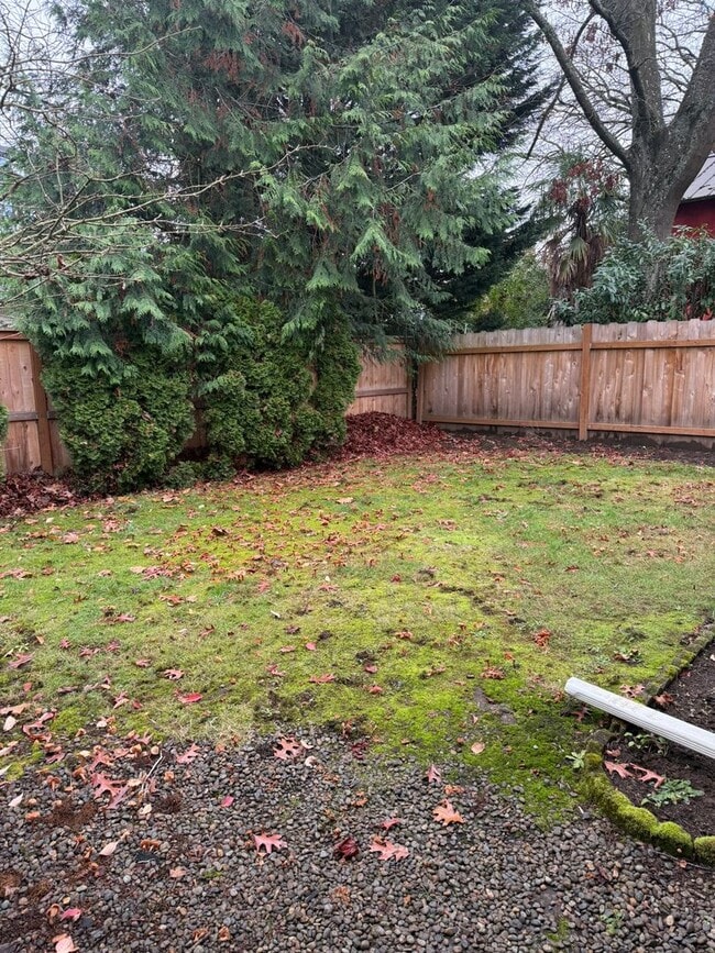Building Photo - Overlook Bungalow
