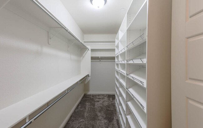 Building Photo - Stunning 5 Bed, 4 Full Baths And 2 Half Ba...