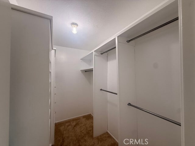 Building Photo - 28058 Braidwood Dr