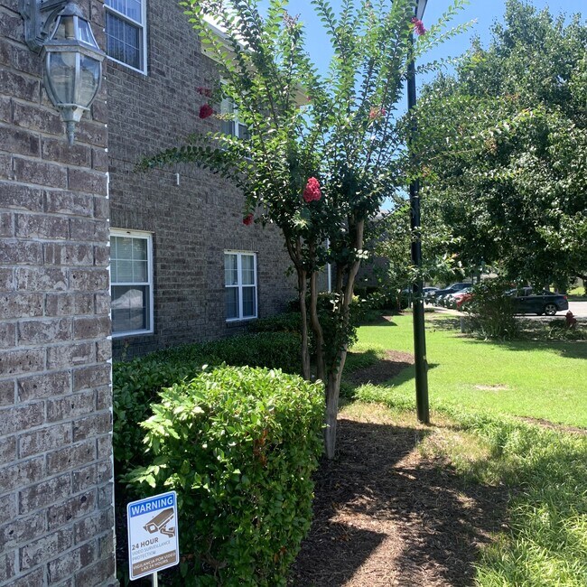 Building Photo - 500 Willow Green Dr